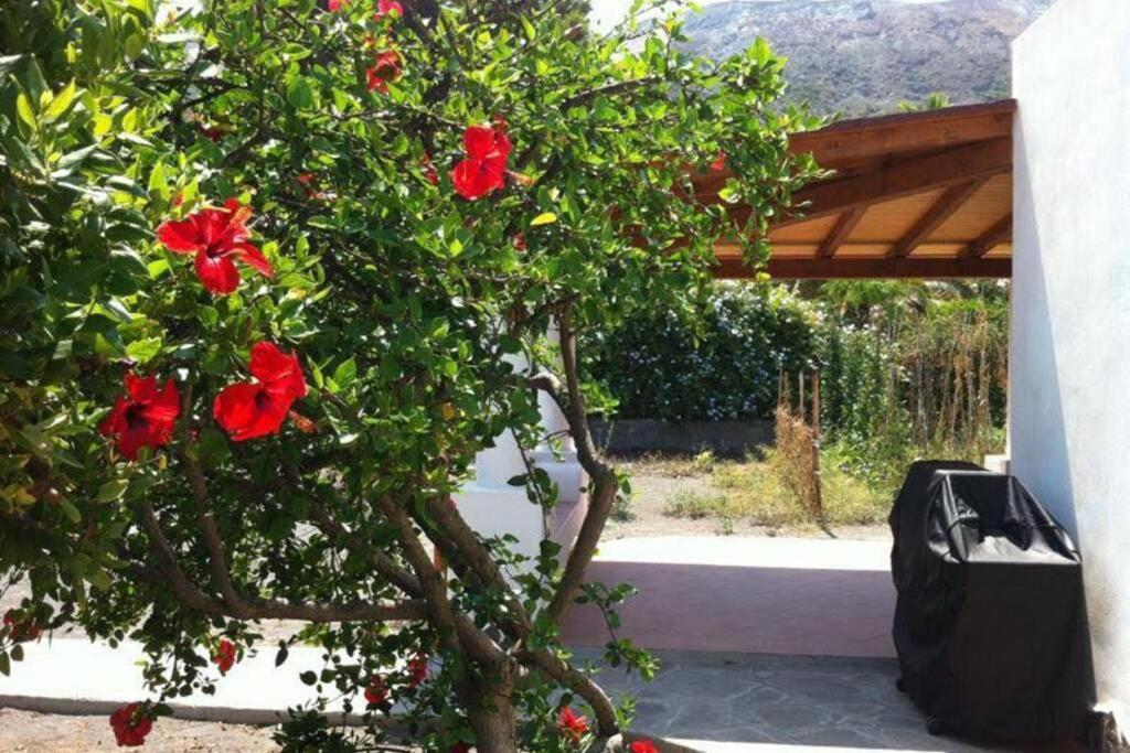 Villa By The Vulcano - 70Mq Plus Large Garden And Patio Екстериор снимка